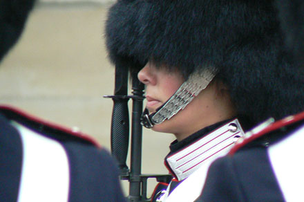 Honorowa zmiana warty
