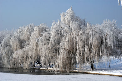 Piękna, mroźna zima