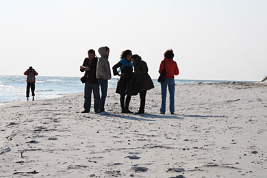 Na plaży w Dueodde