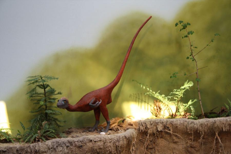 Dinozaru w NaturBornholm